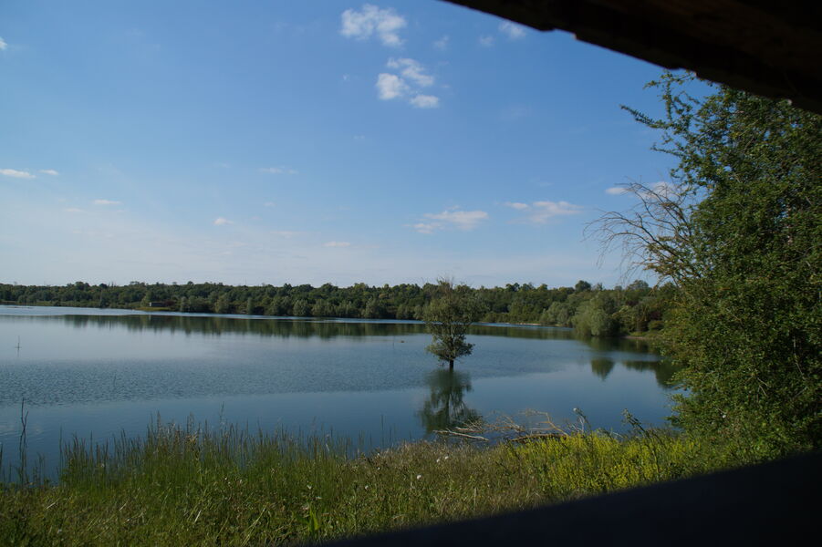 Espace Naturel Sensible des Olivettes