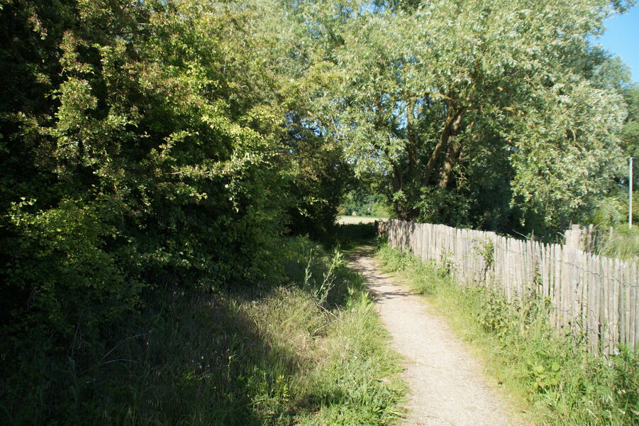 Espace Naturel Sensible des Olivettes