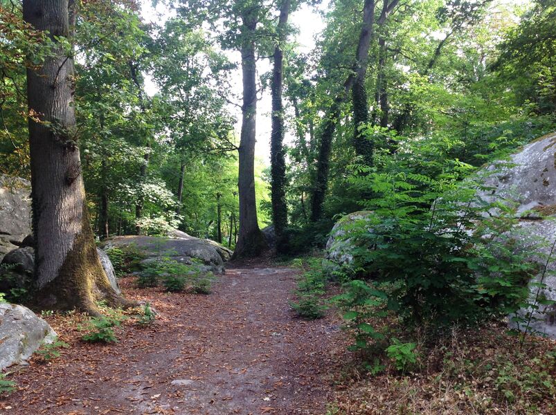 Boucle du parc des Rochers Gréau