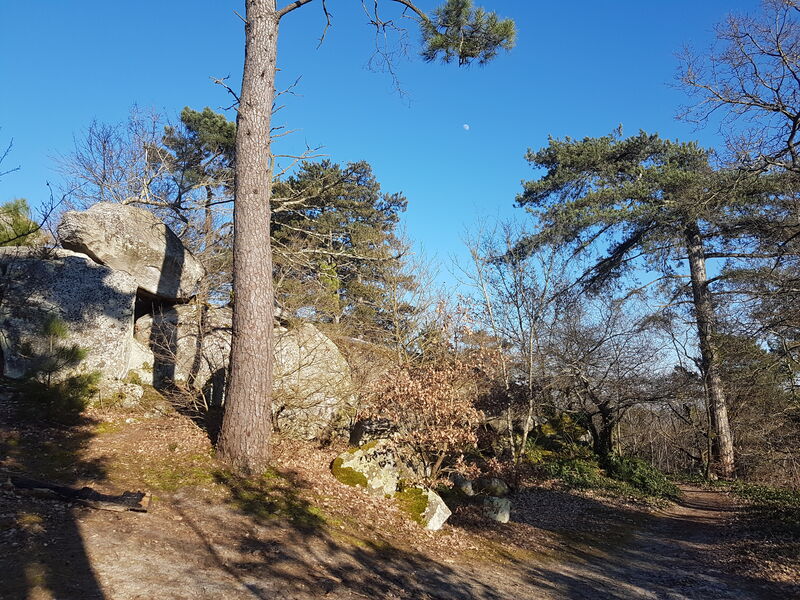 Boucle du parc des Rochers Gréau