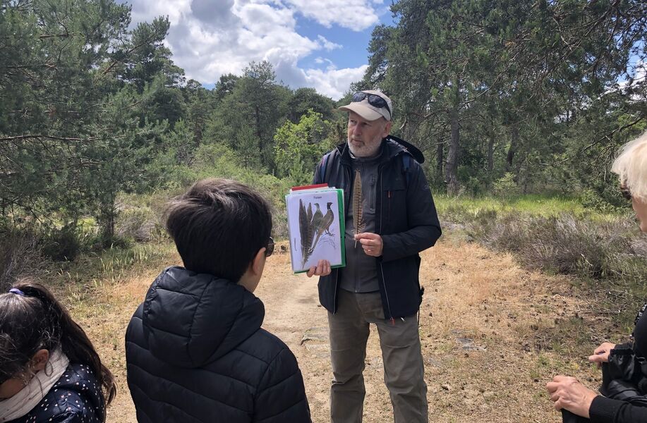 Visites guidées thématiques en forêt