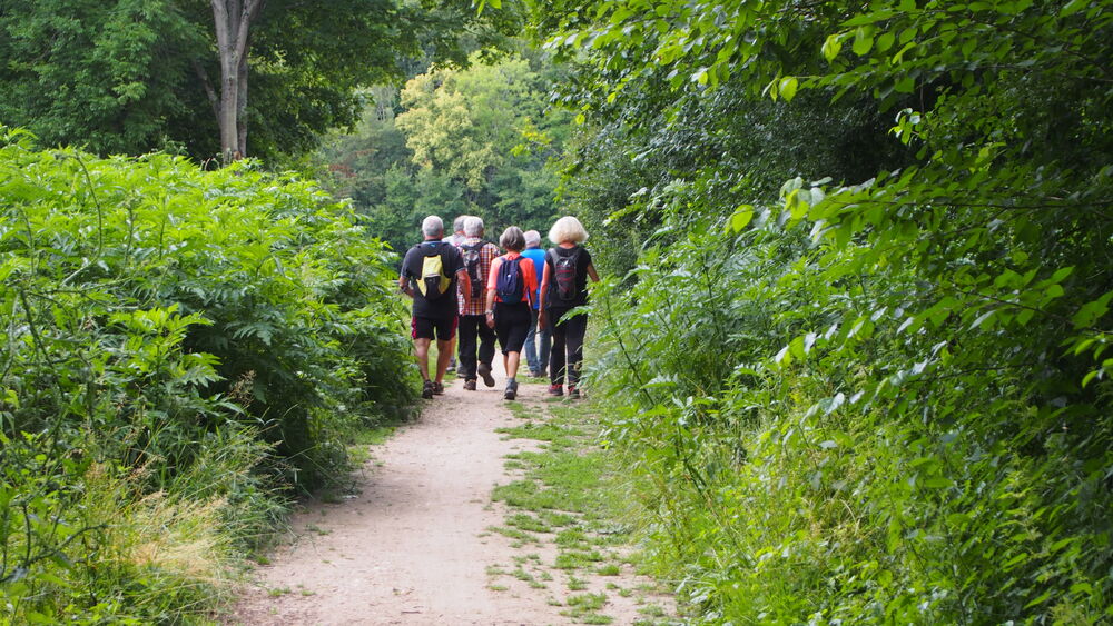 Espace naturel : le parc de Livry