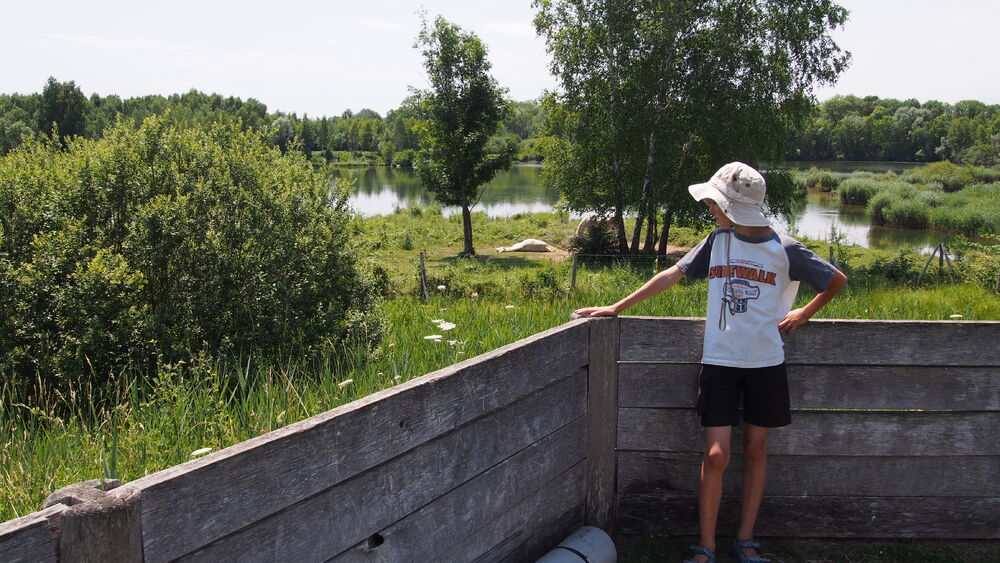 Espace naturel : le marais d’Episy