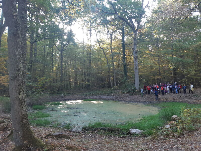 Espace naturel : le Bois de La Rochette