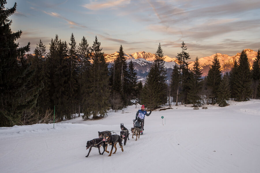 Baptême en kart chiens de traineau