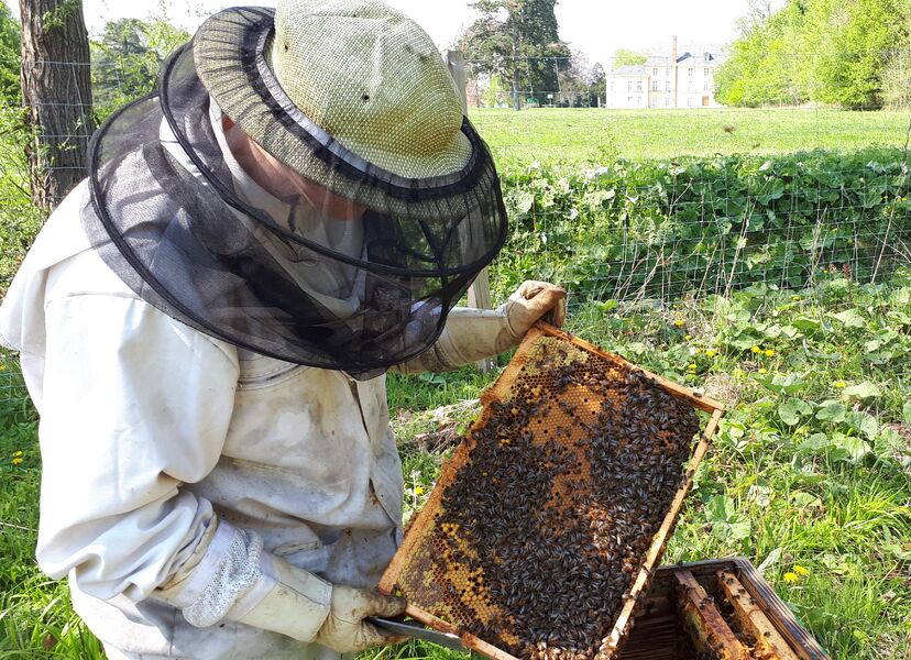 Ferme apicole et caprine de Metaczyk’api