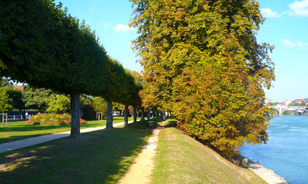 Jardin de l'Ile