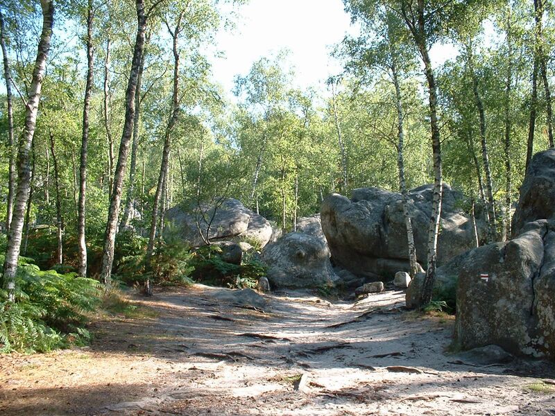 Week-end sportif au Pays de Fontainebleau