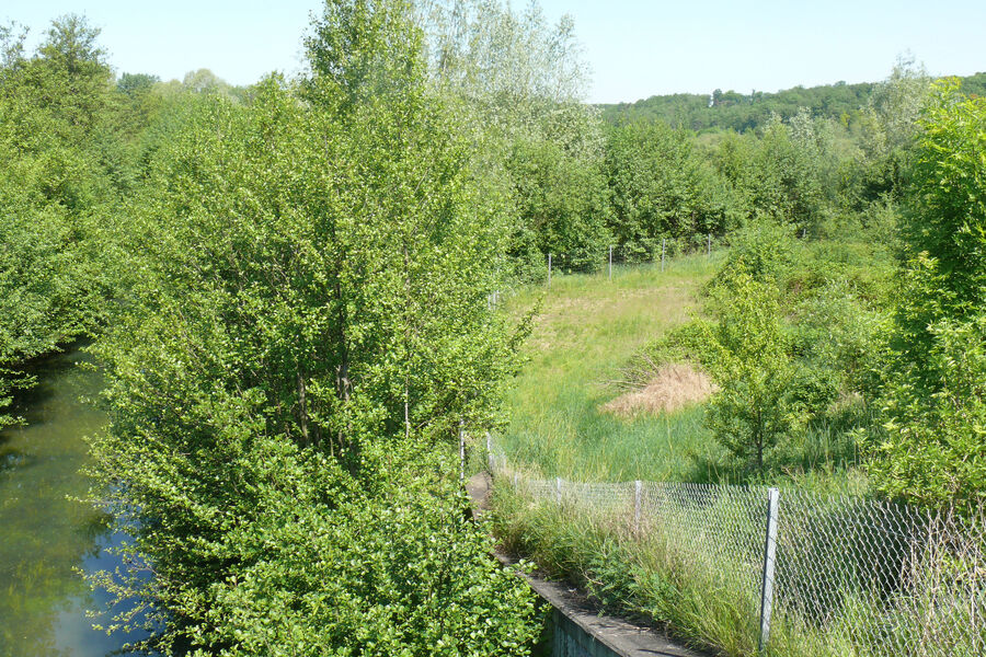 Circuit le marais de Cercanceaux