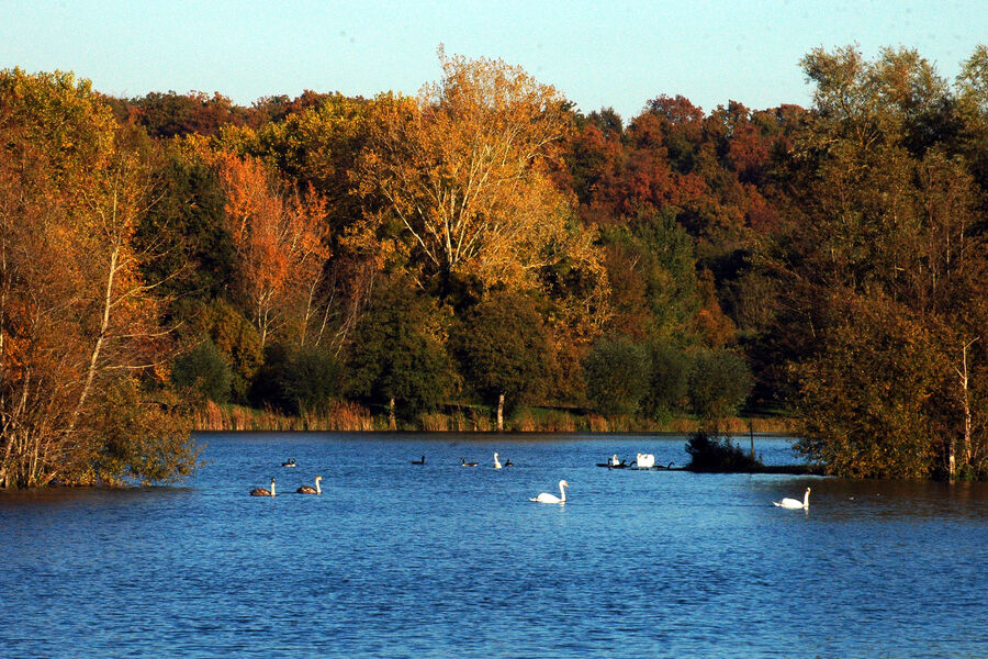 Circuit des Etangs