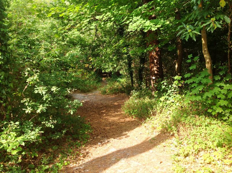 Parc des Rochers Gréau