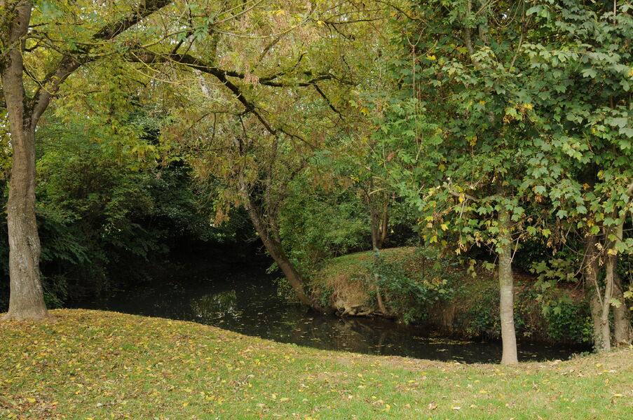 Saint-Cyr-sur-Morin