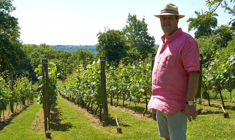 Visite guidée de la Maison de la Vigne et du Vin