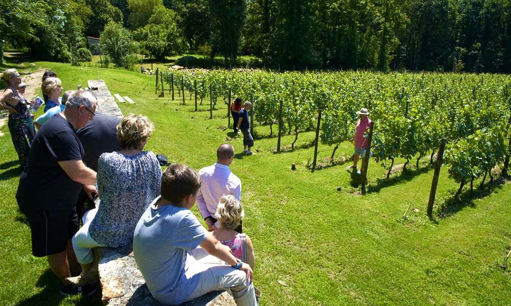 Visite guidée de la Maison de la Vigne et du Vin