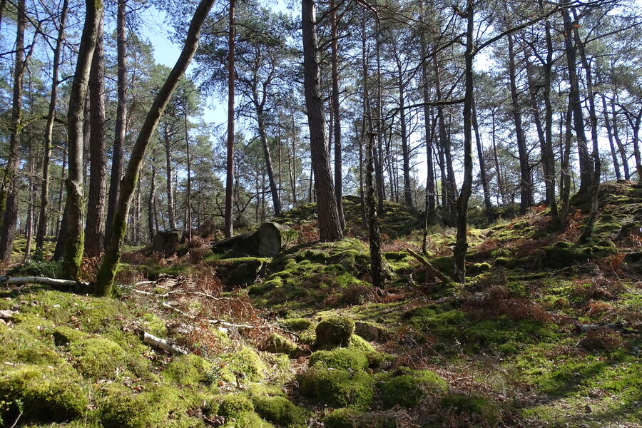 Sentier des carriers