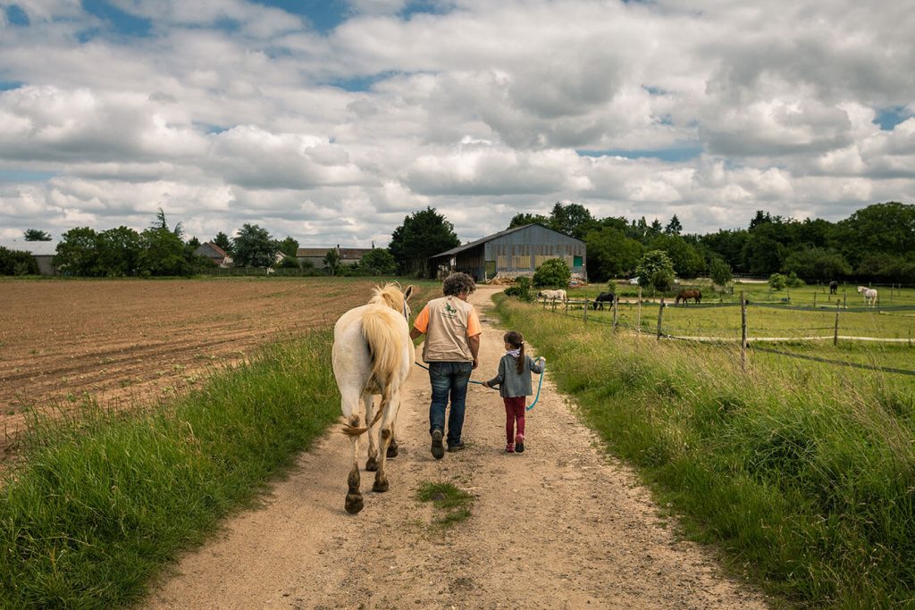 avoine et picotin cheval Poligny Seine et Marne©aurelie amiot