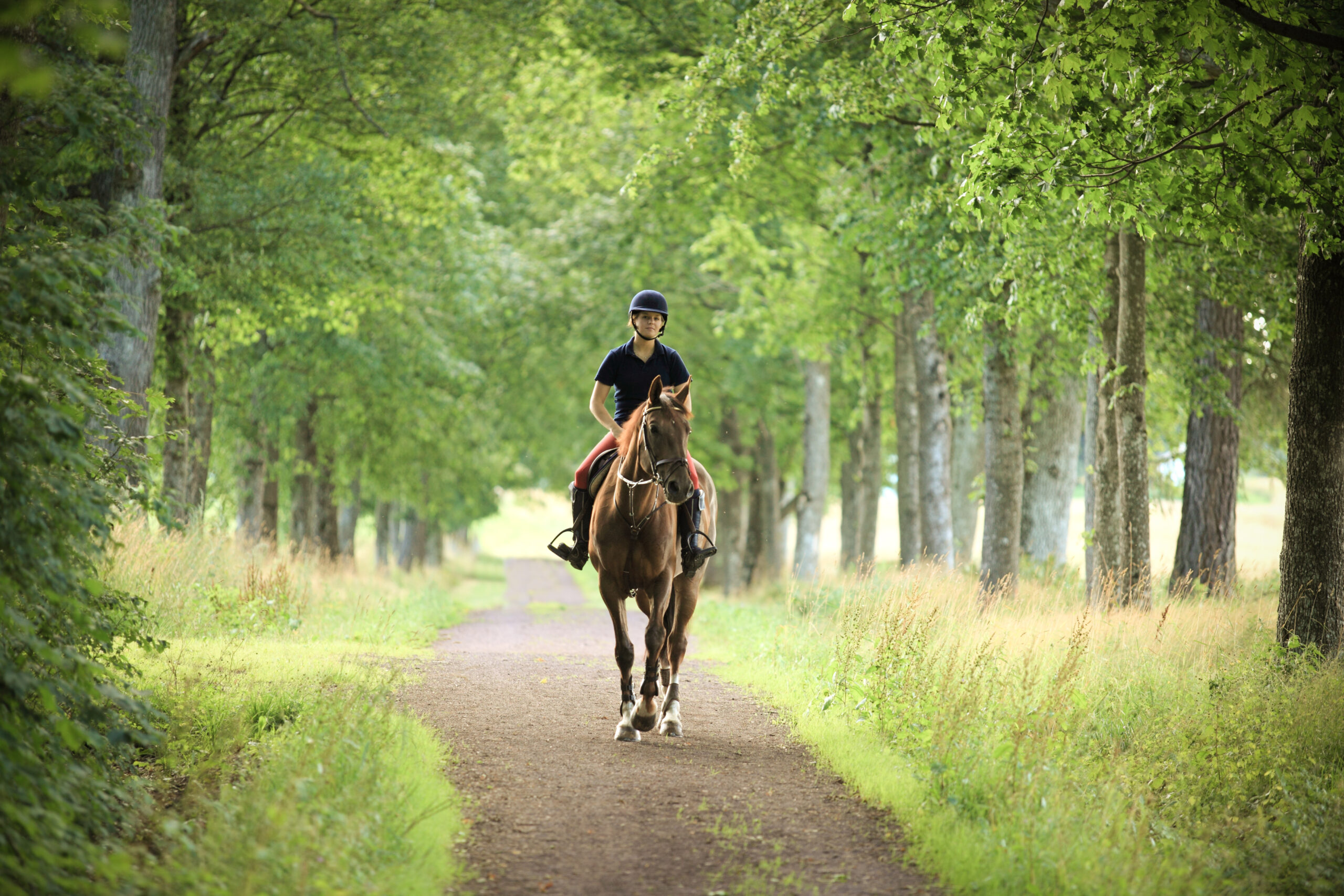 Young woman horseback riding on a romantic road, Norway