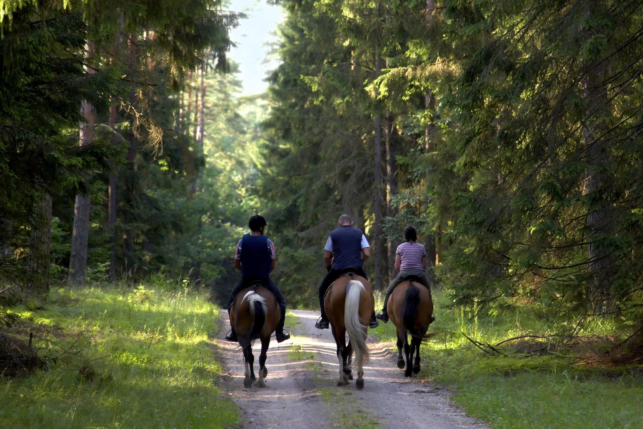 people on horse