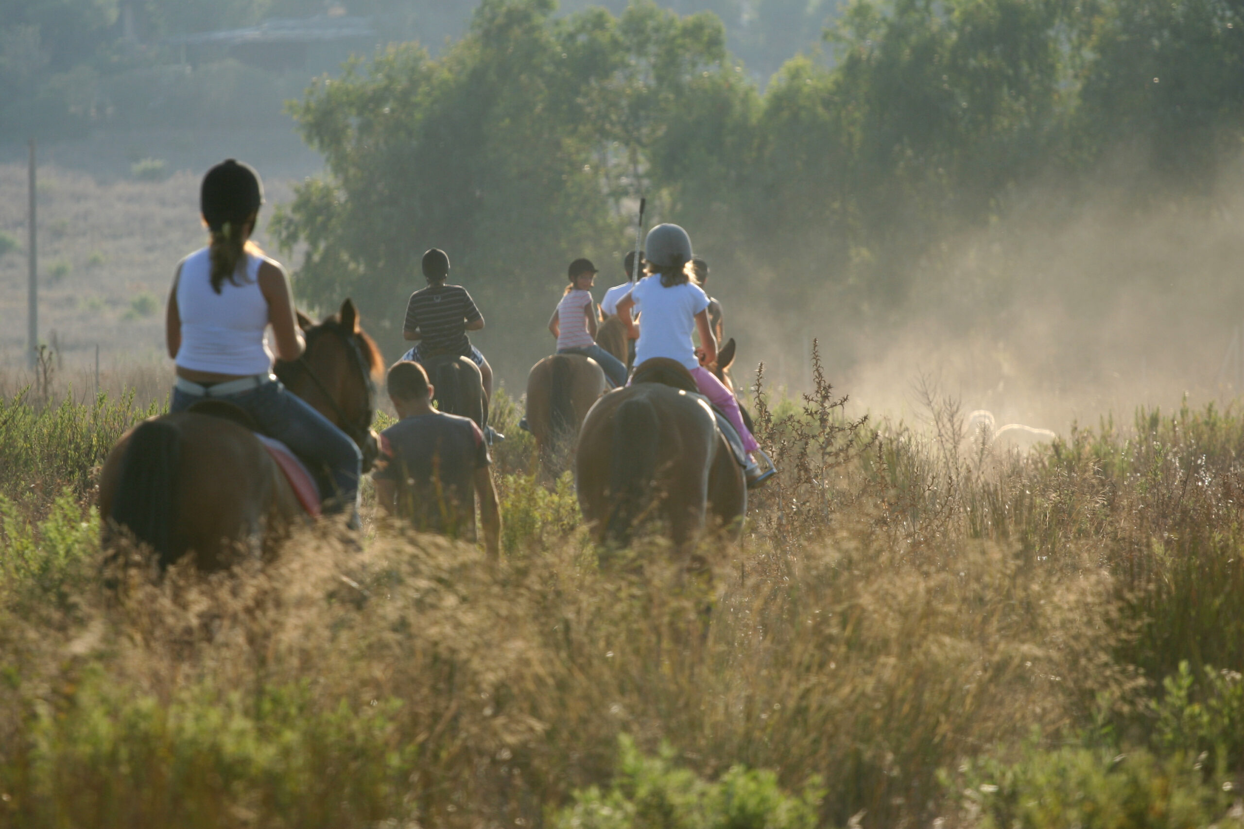 Horse riding in the bush