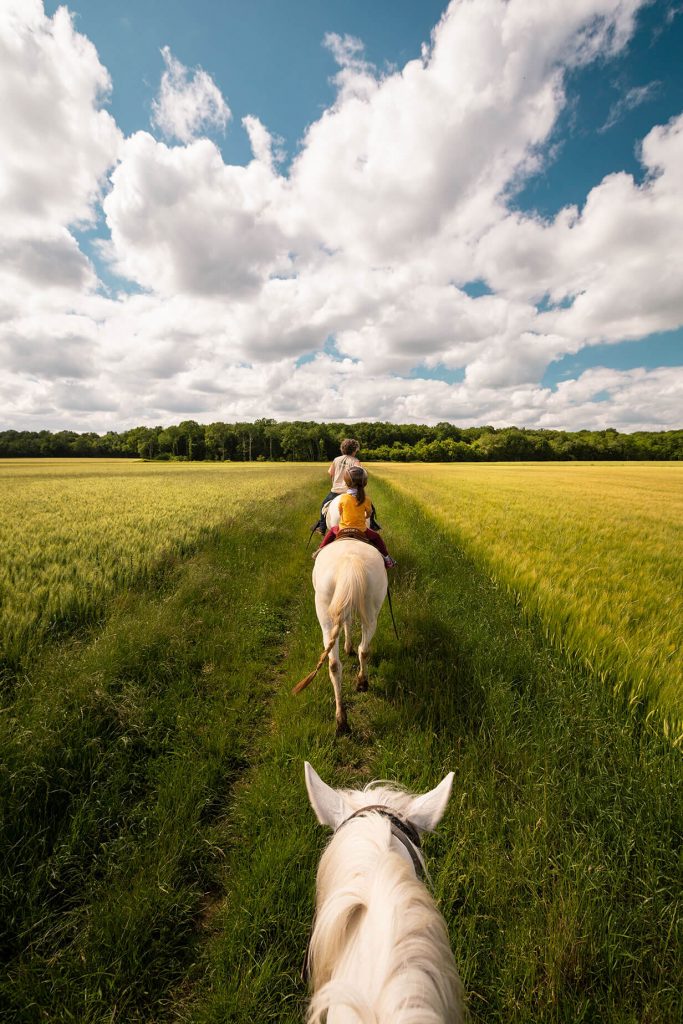 balade cheval champs Poligny Seine et Marne©aurelie amiot