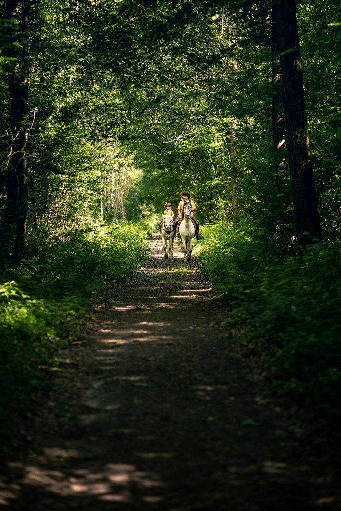 balade cheval foret Poligny Seine et Marne©aurelie amiot