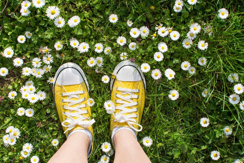 balades printemps en seine et marne ©istock