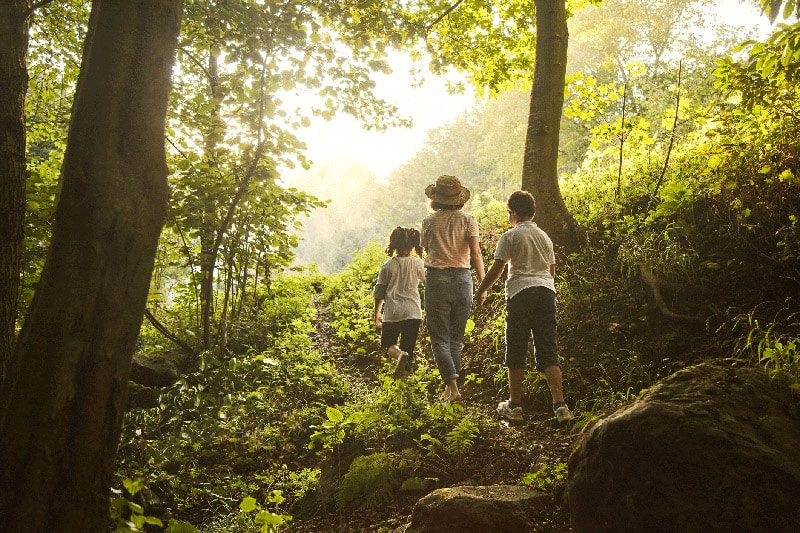 balades printemps foret en seine et marne ©istock