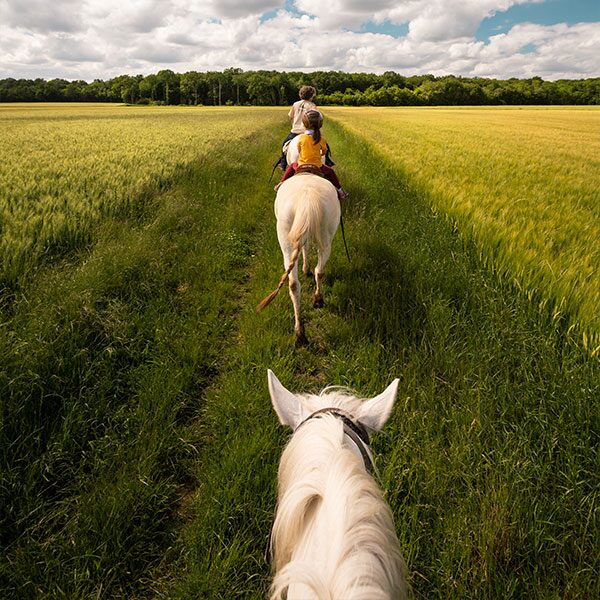 baladnature a cheval