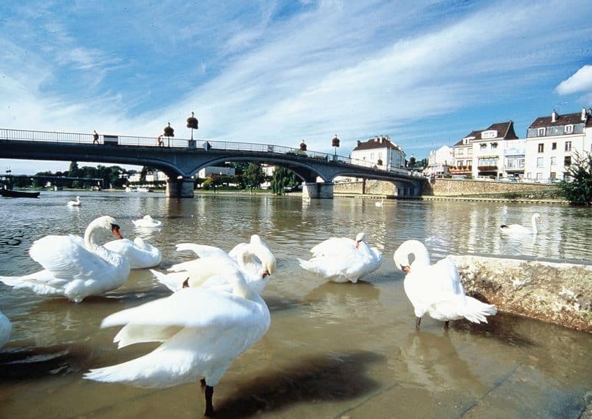 bord de marne (c) tout droit réservé