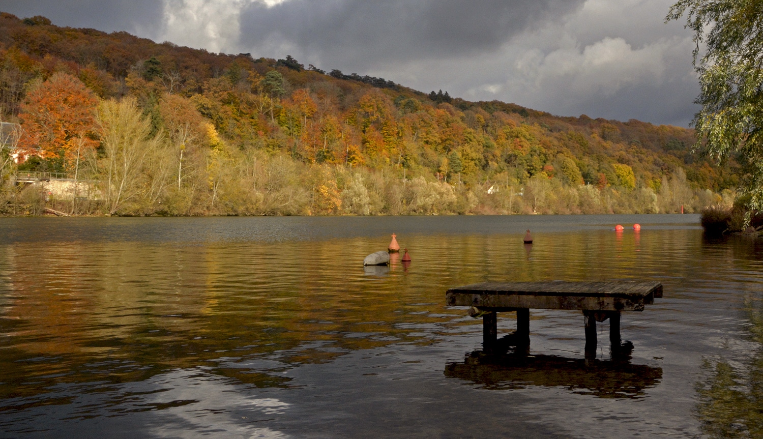 bord deau ponton nature en automne THOMERY cred PATRICIA BEZZINA