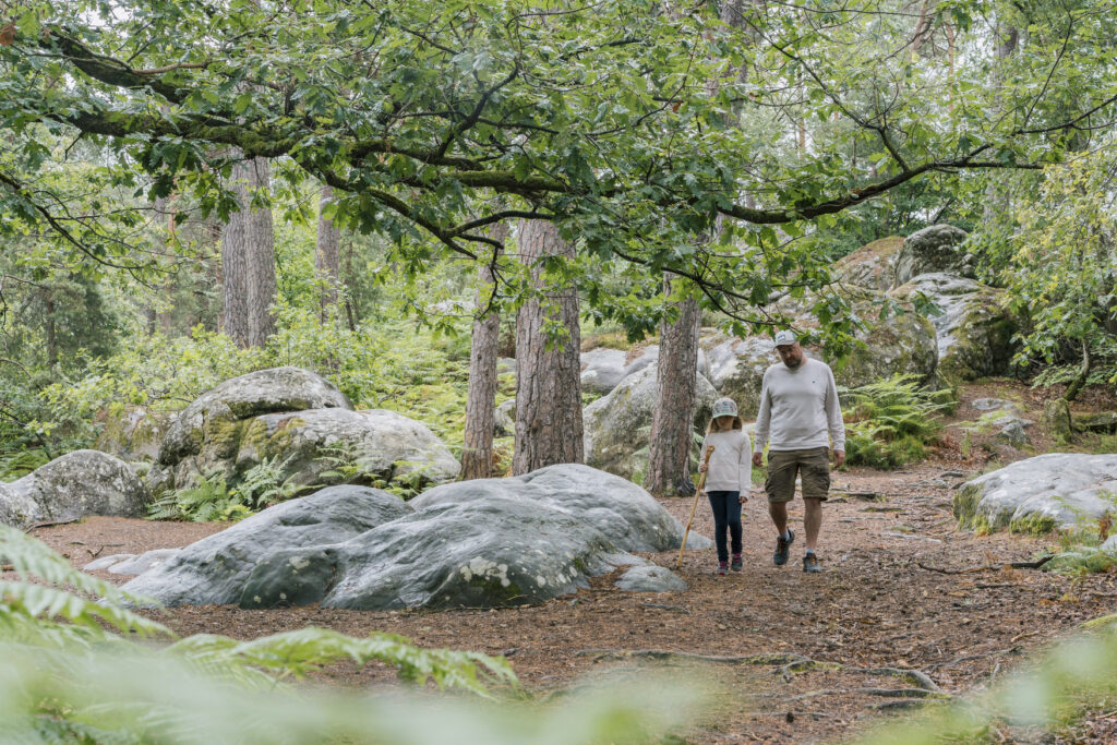 c Nos Coeurs voyageurs foret fontainebleau