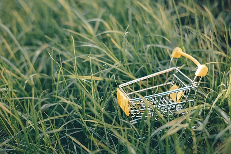 caddie ecoresponsable Seine et Marne iStock