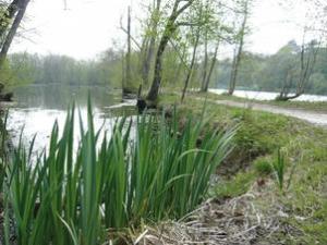 champagne sur seine les basses godernes©Francoise Couturier