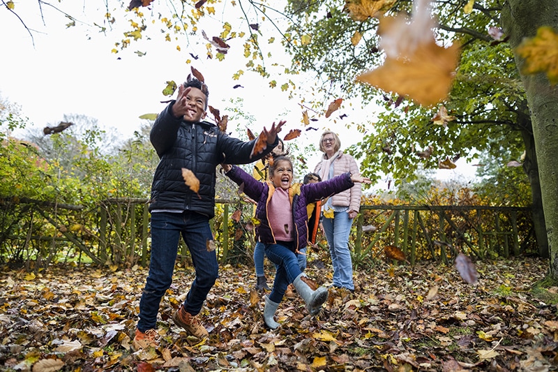 enfants feuilles automne seine et marne