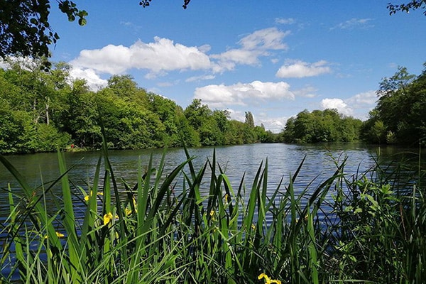 environnement espace naturel sensible basses godernes seine et marne @CD