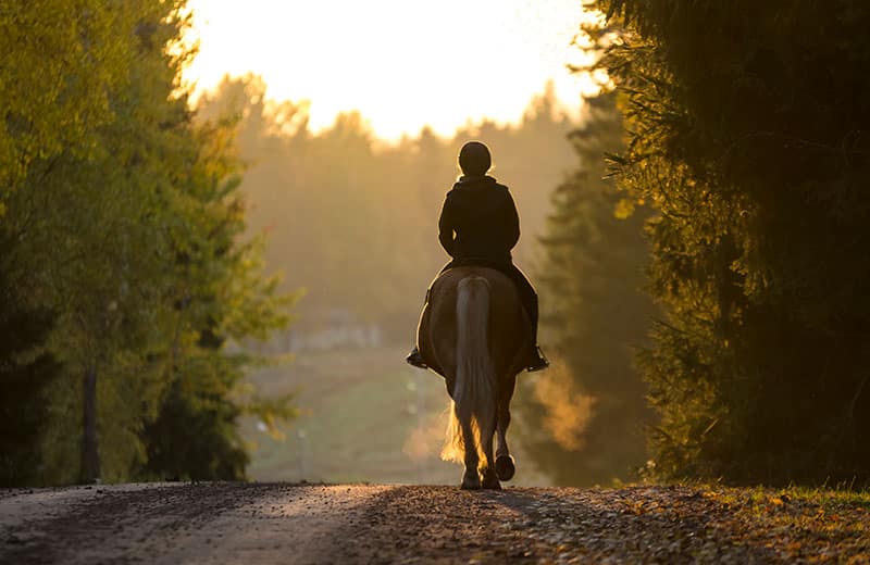 equitation idees recues seine et marne ©IStock