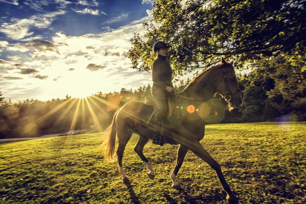 equitation seine et marne