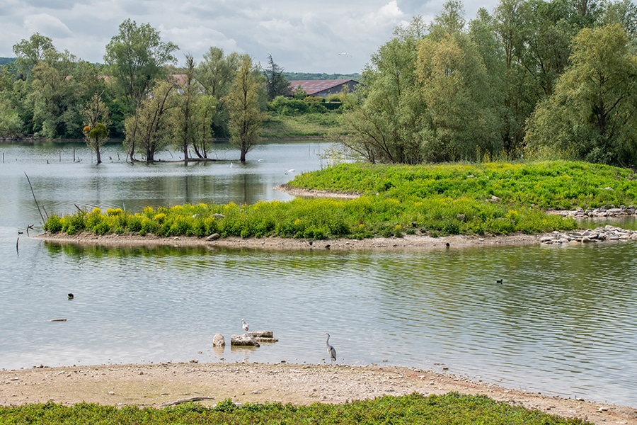 etang Espace Naturel Sensible Olivettes Seine et Marne