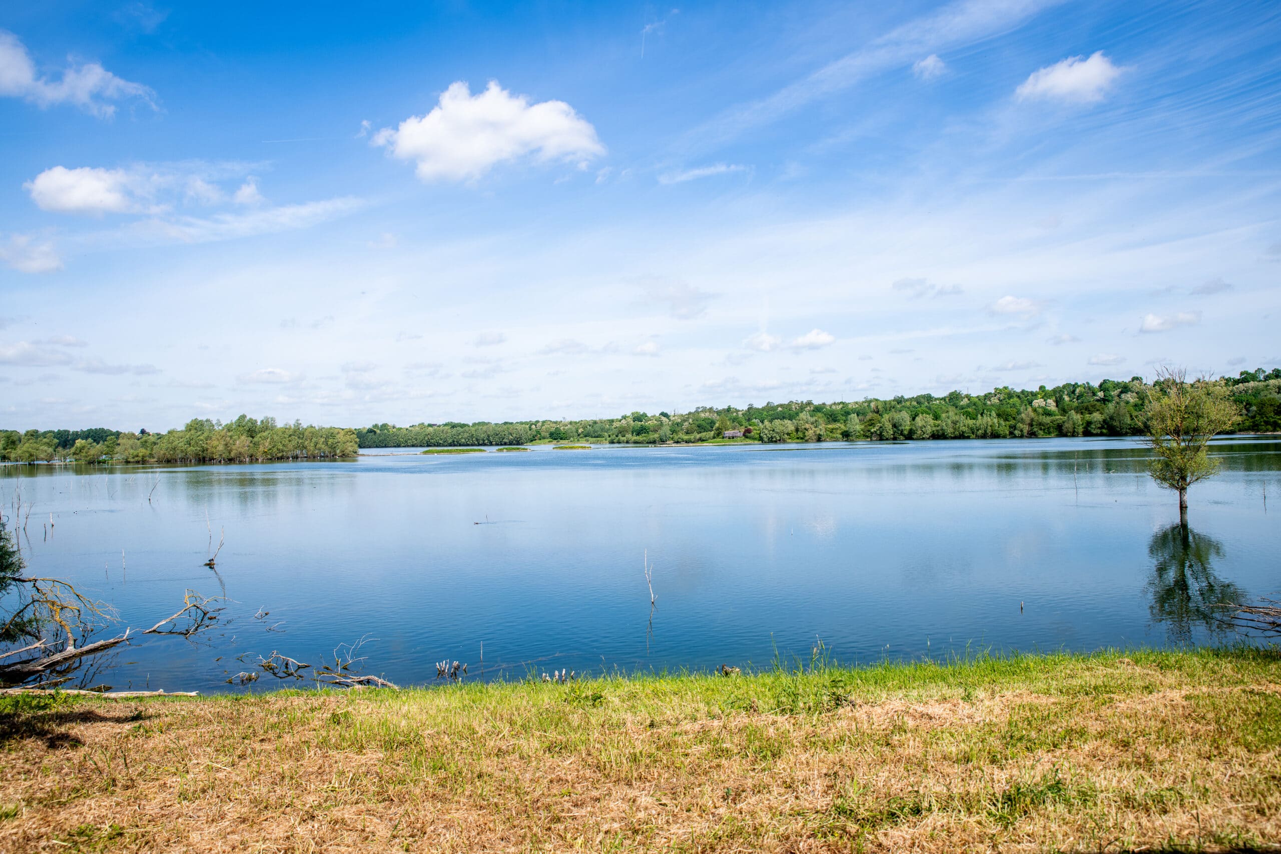 etang Espace Naturel Sensible Olivettes Seine et Marne scaled