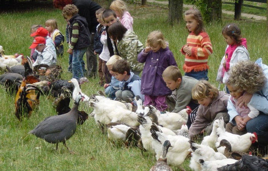 ferme pedagogique saint hilliers provins