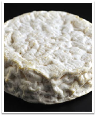 fromage camenchevre seine et marne