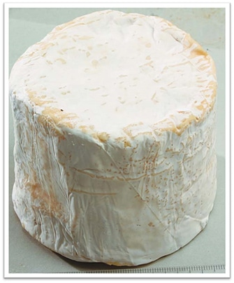 fromage le jean de brie seine et marne