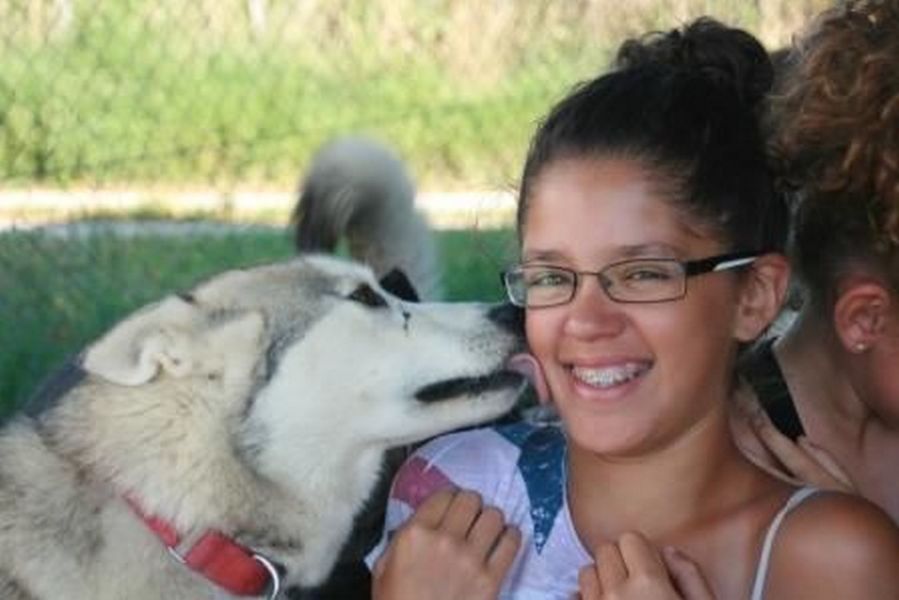 husky enfant foret chiens traineaux Fontainebleau Seine et Marne