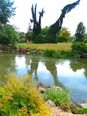 jardin remarquable jardin point du jour verdelot seine et marne