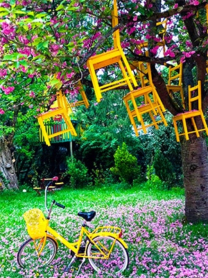 jardin remarquable moulin jaune chaise crecy la chapelle seine et marne