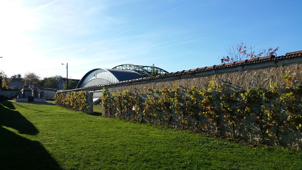 jardin serres salomon thomery chasselas dore vin des rois seine et marne