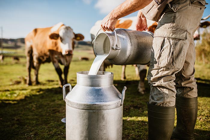 lait chandeleur seine et marne ©iStock