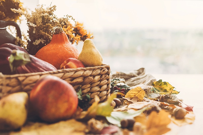 legume saison automne seine et marne