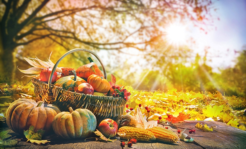 panier saison automne seine et marne