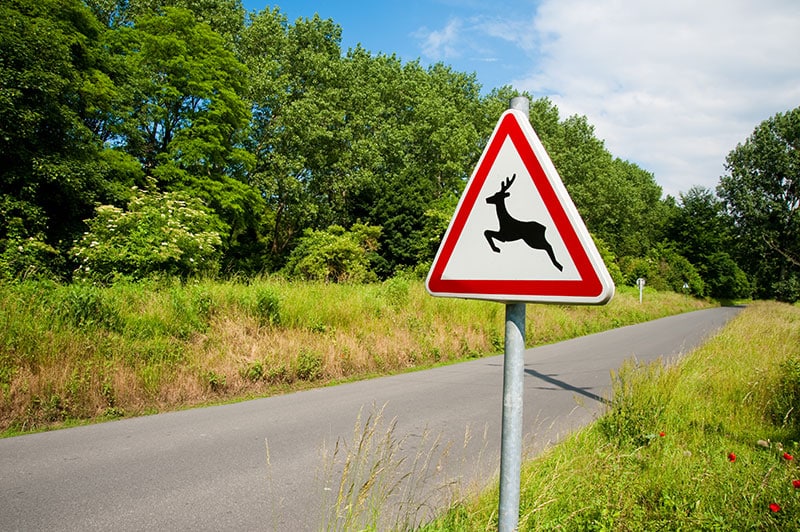 panneaux signalisation idees recues seine et marne ©IStock